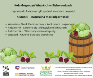 Przestrzeń do spotkań, rozmów i wspólnego działania projekt realizowany przez Koło Gospodyń Wiejskich w Sieborowicach.