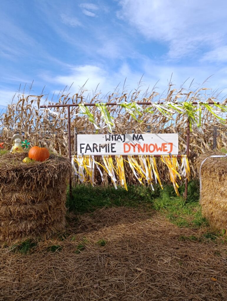 Wizyta studyjna na terenie Korony (5)